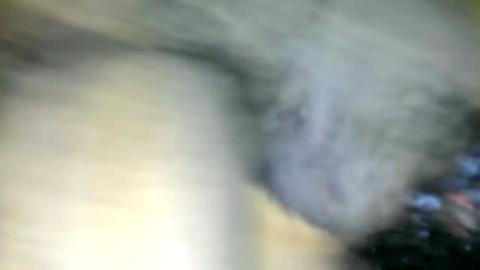 33578