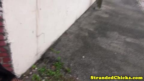 30377