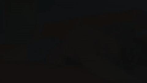 23223