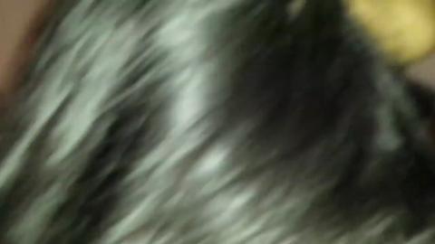 3892