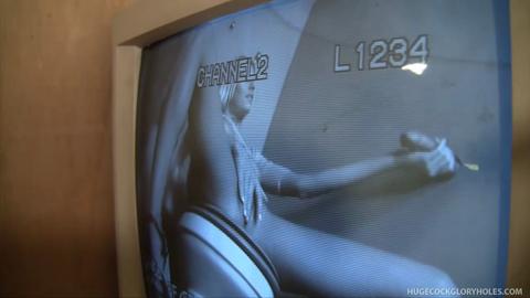 20254