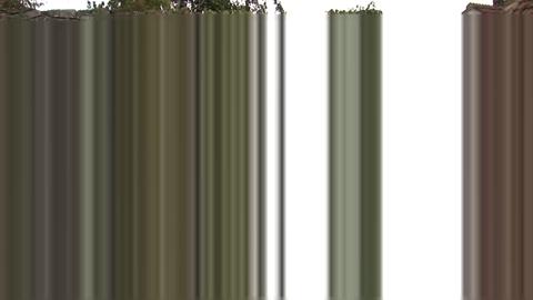 36202